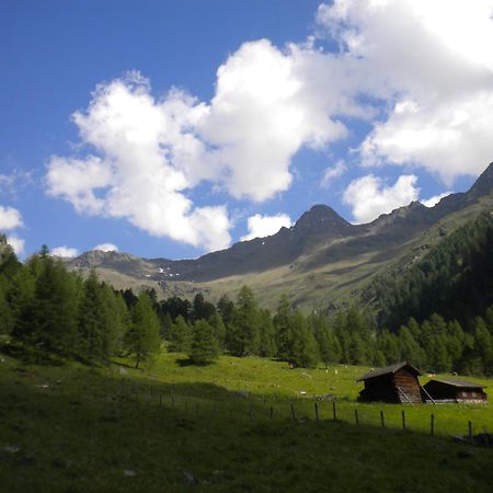 Bed & Breakfast Dolomiti Bey Haus Pinter Assling Esterno foto