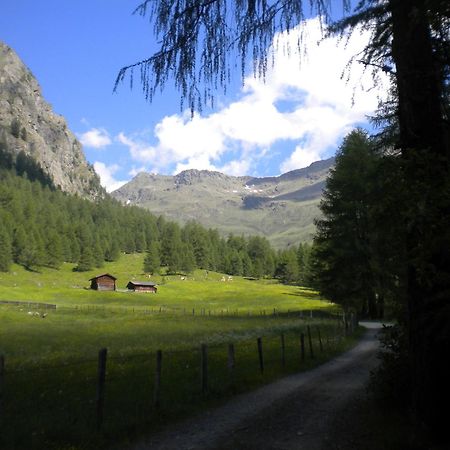 Bed & Breakfast Dolomiti Bey Haus Pinter Assling Esterno foto