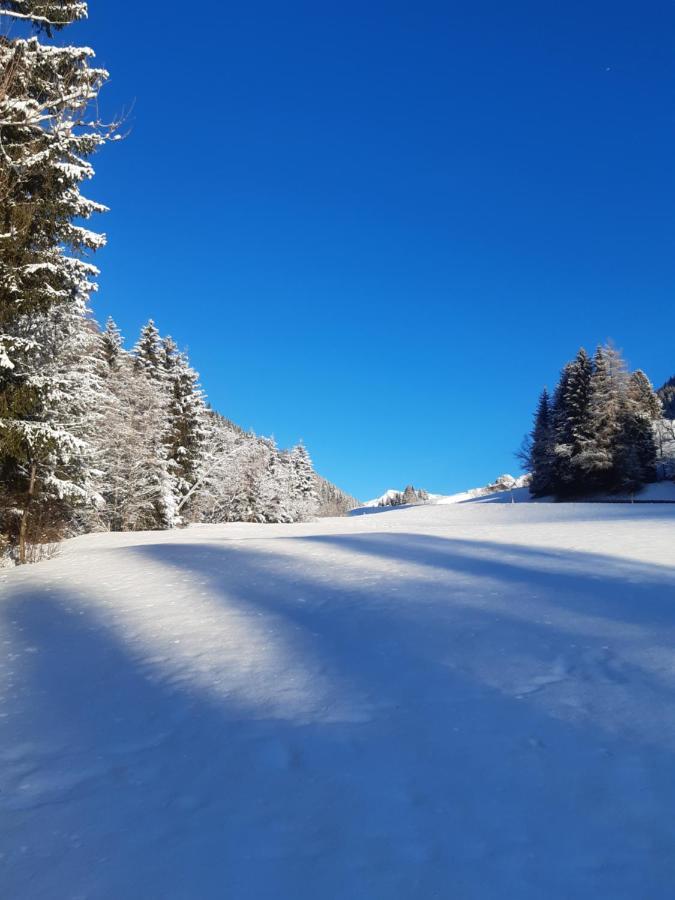 Bed & Breakfast Dolomiti Bey Haus Pinter Assling Esterno foto