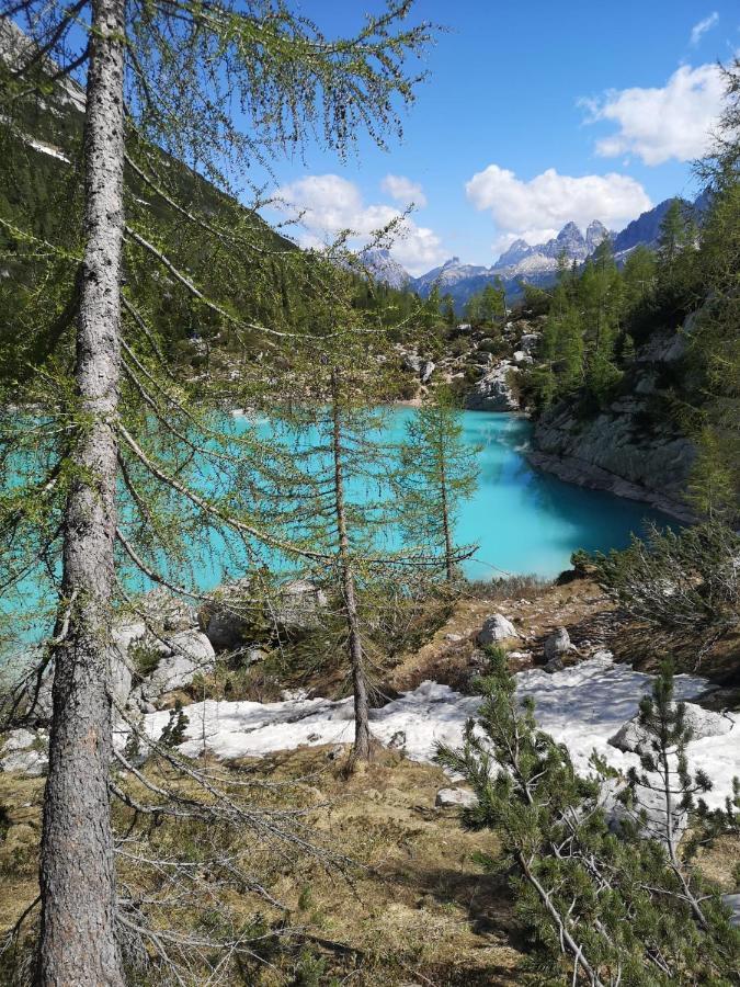 Bed & Breakfast Dolomiti Bey Haus Pinter Assling Esterno foto