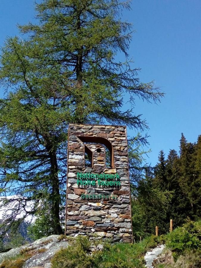 Bed & Breakfast Dolomiti Bey Haus Pinter Assling Esterno foto