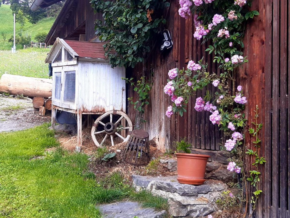 Bed & Breakfast Dolomiti Bey Haus Pinter Assling Esterno foto