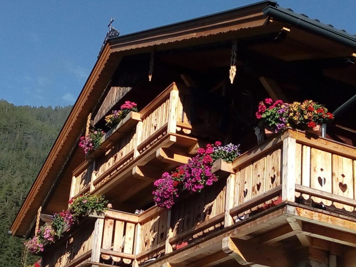 Bed & Breakfast Dolomiti Bey Haus Pinter Assling Esterno foto