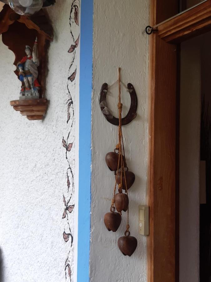 Bed & Breakfast Dolomiti Bey Haus Pinter Assling Esterno foto