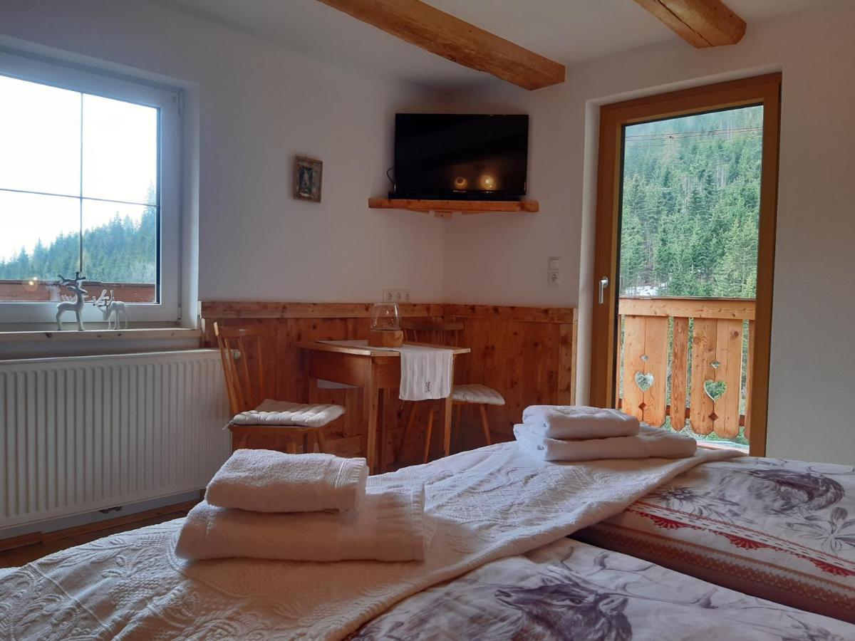 Bed & Breakfast Dolomiti Bey Haus Pinter Assling Esterno foto