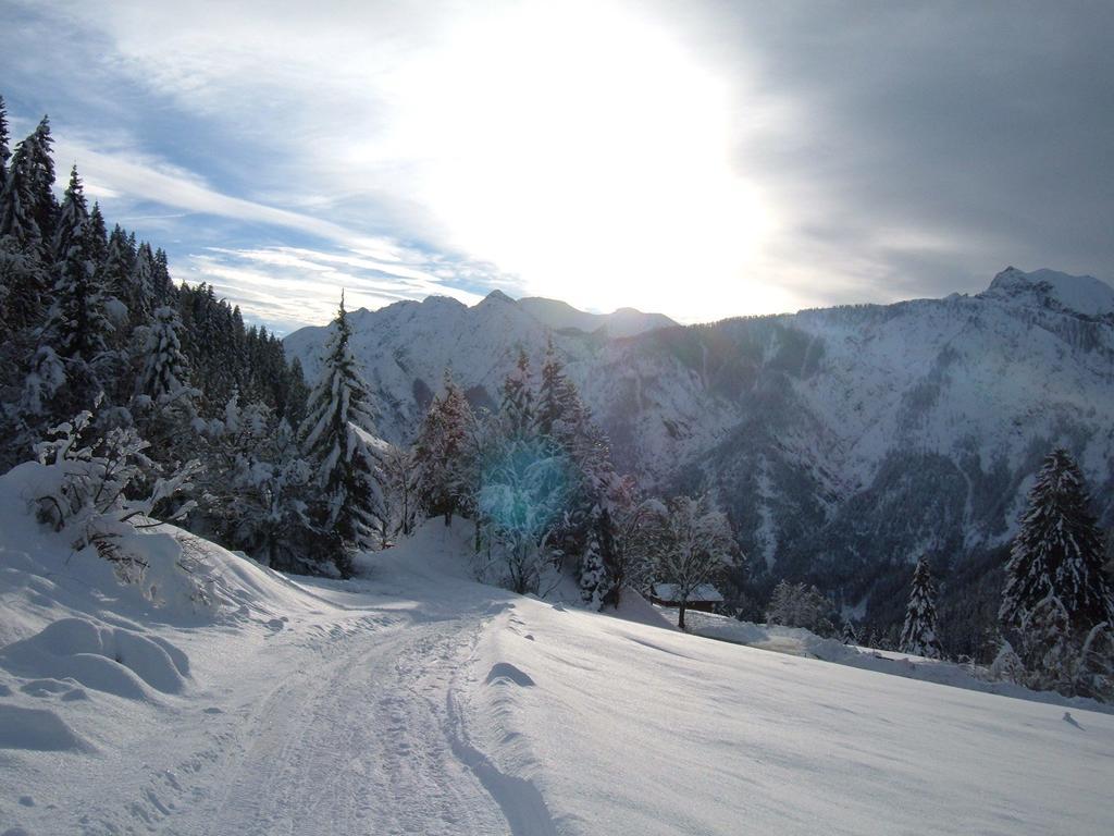 Bed & Breakfast Dolomiti Bey Haus Pinter Assling Esterno foto