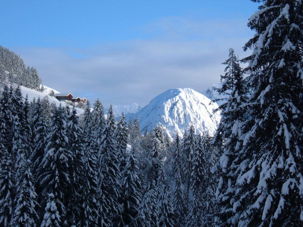 Bed & Breakfast Dolomiti Bey Haus Pinter Assling Esterno foto