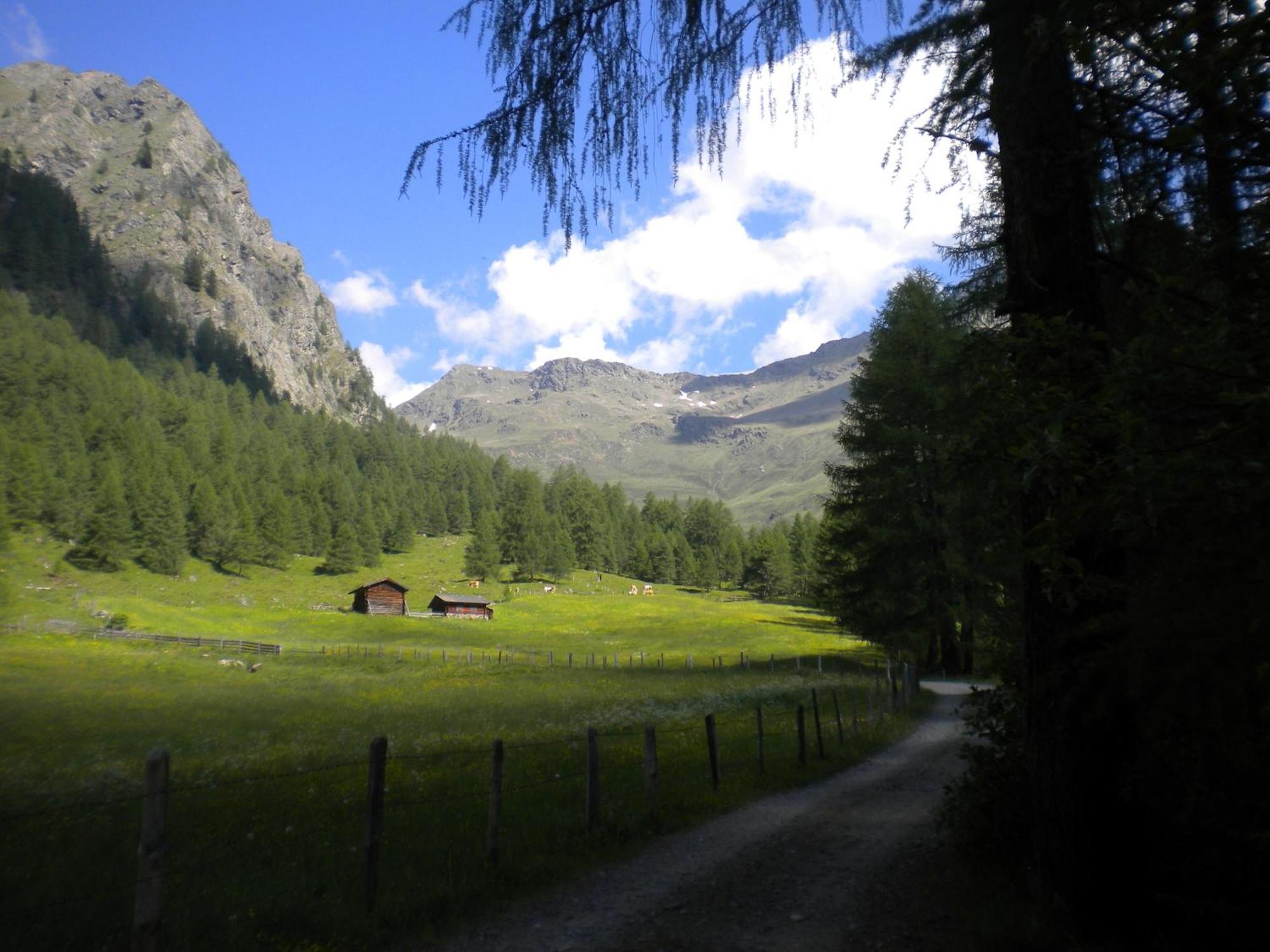 Bed & Breakfast Dolomiti Bey Haus Pinter Assling Esterno foto