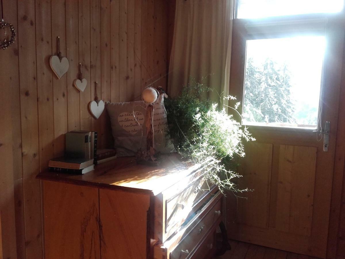Bed & Breakfast Dolomiti Bey Haus Pinter Assling Esterno foto