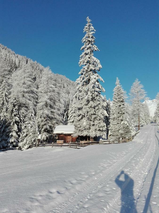 Bed & Breakfast Dolomiti Bey Haus Pinter Assling Esterno foto
