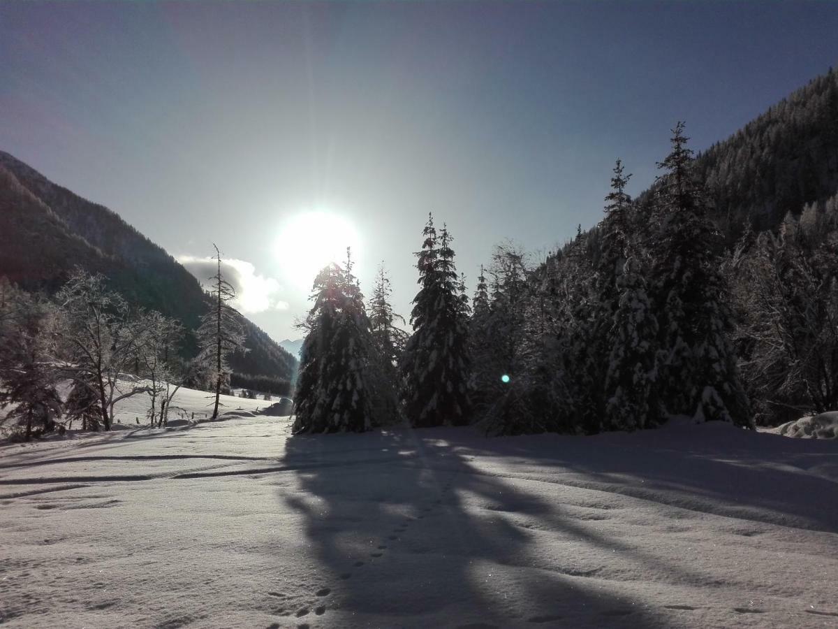Bed & Breakfast Dolomiti Bey Haus Pinter Assling Esterno foto